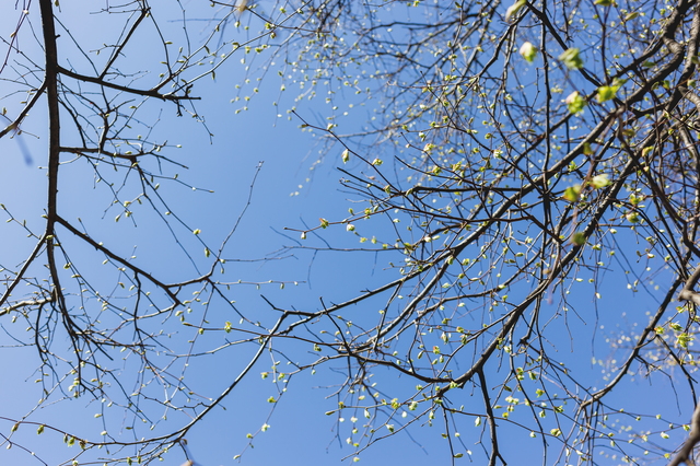 別荘の薪ストーブ