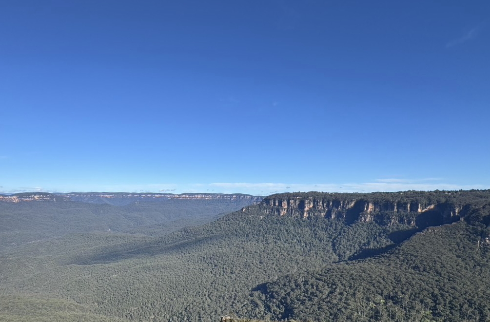 ブルーマウンテン