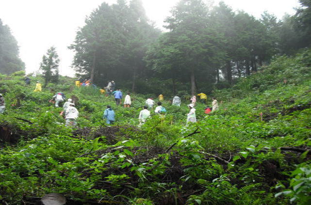 山に登ります