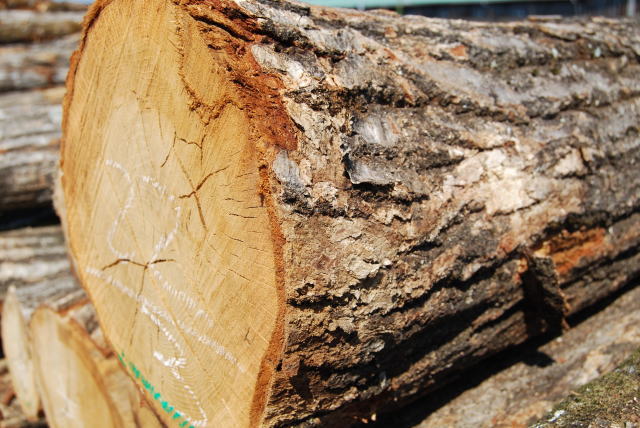 木材の生産履歴追跡